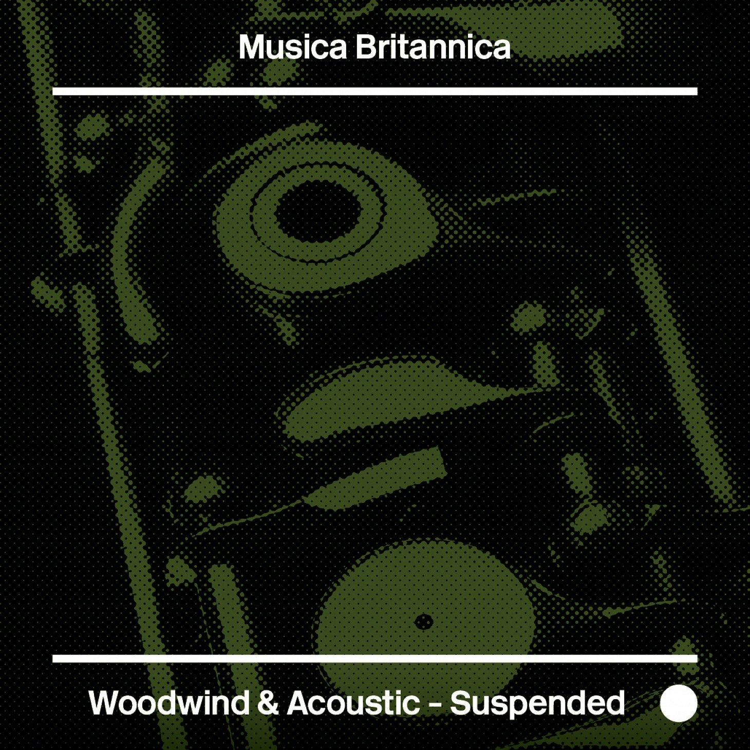 Woodwind & Acoustic - Suspended