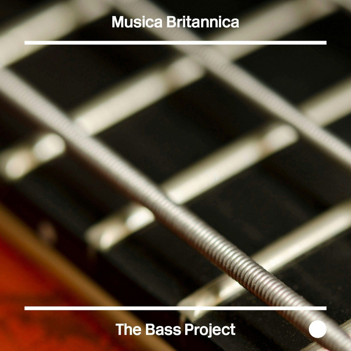 The Bass Project