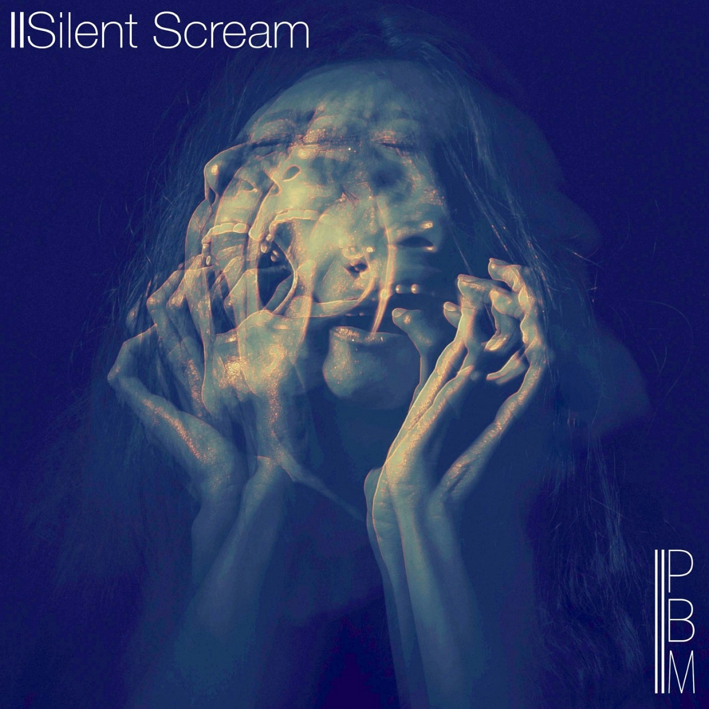 Silent Scream