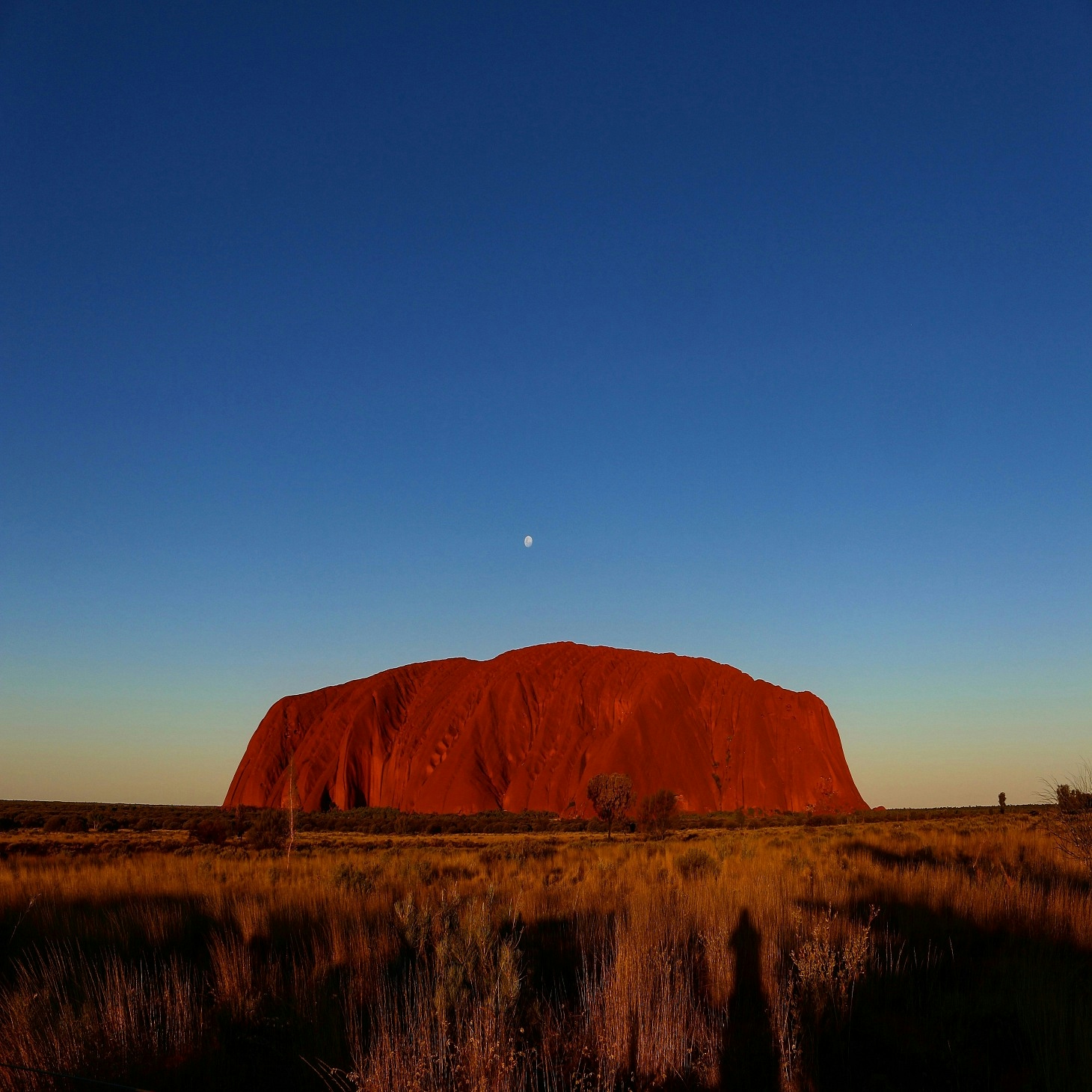 Australian Outback